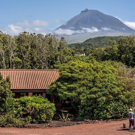 Alma Do Pico - Nature Residence Madalena Kültér fotó