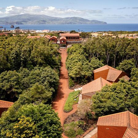 Alma Do Pico - Nature Residence Madalena Kültér fotó