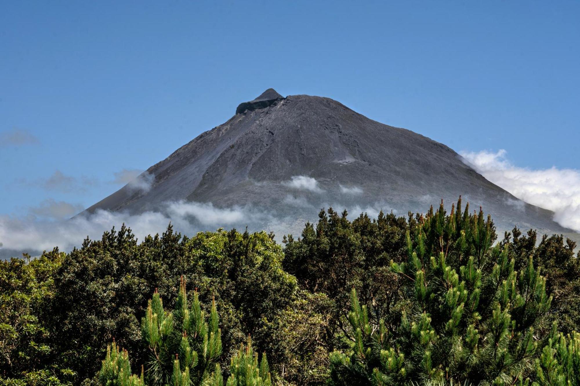 Alma Do Pico - Nature Residence Madalena Kültér fotó