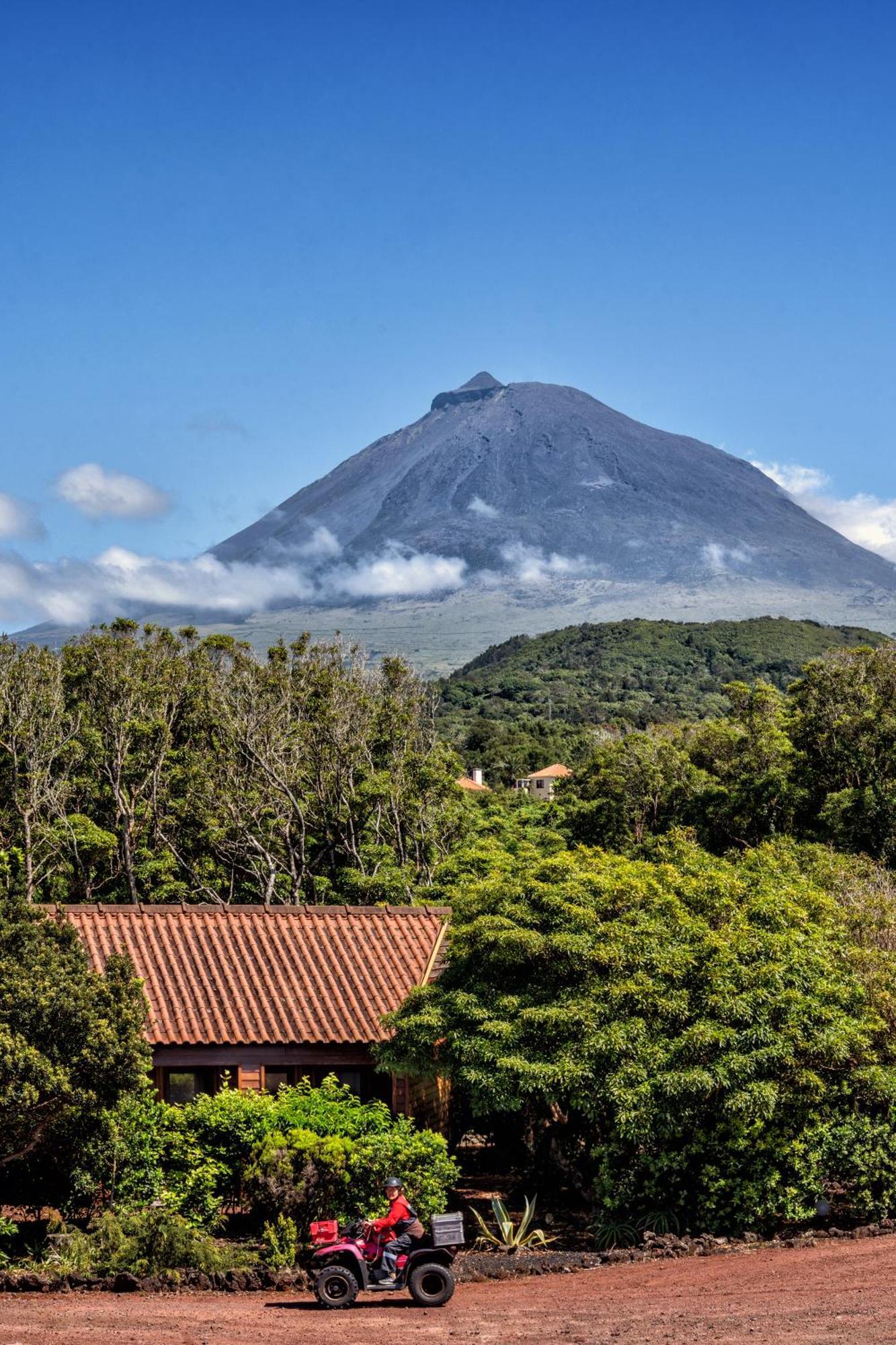 Alma Do Pico - Nature Residence Madalena Kültér fotó