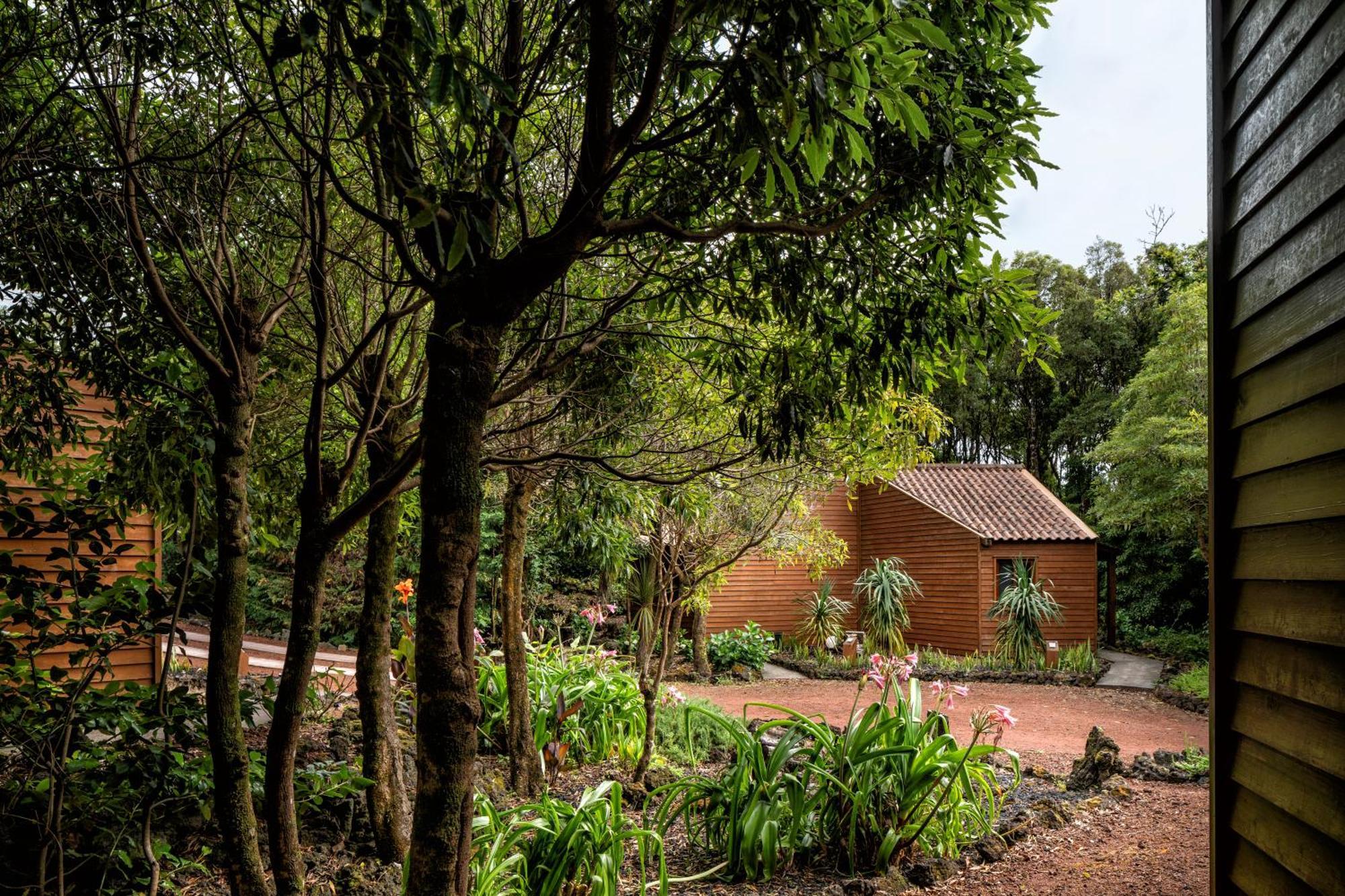 Alma Do Pico - Nature Residence Madalena Kültér fotó