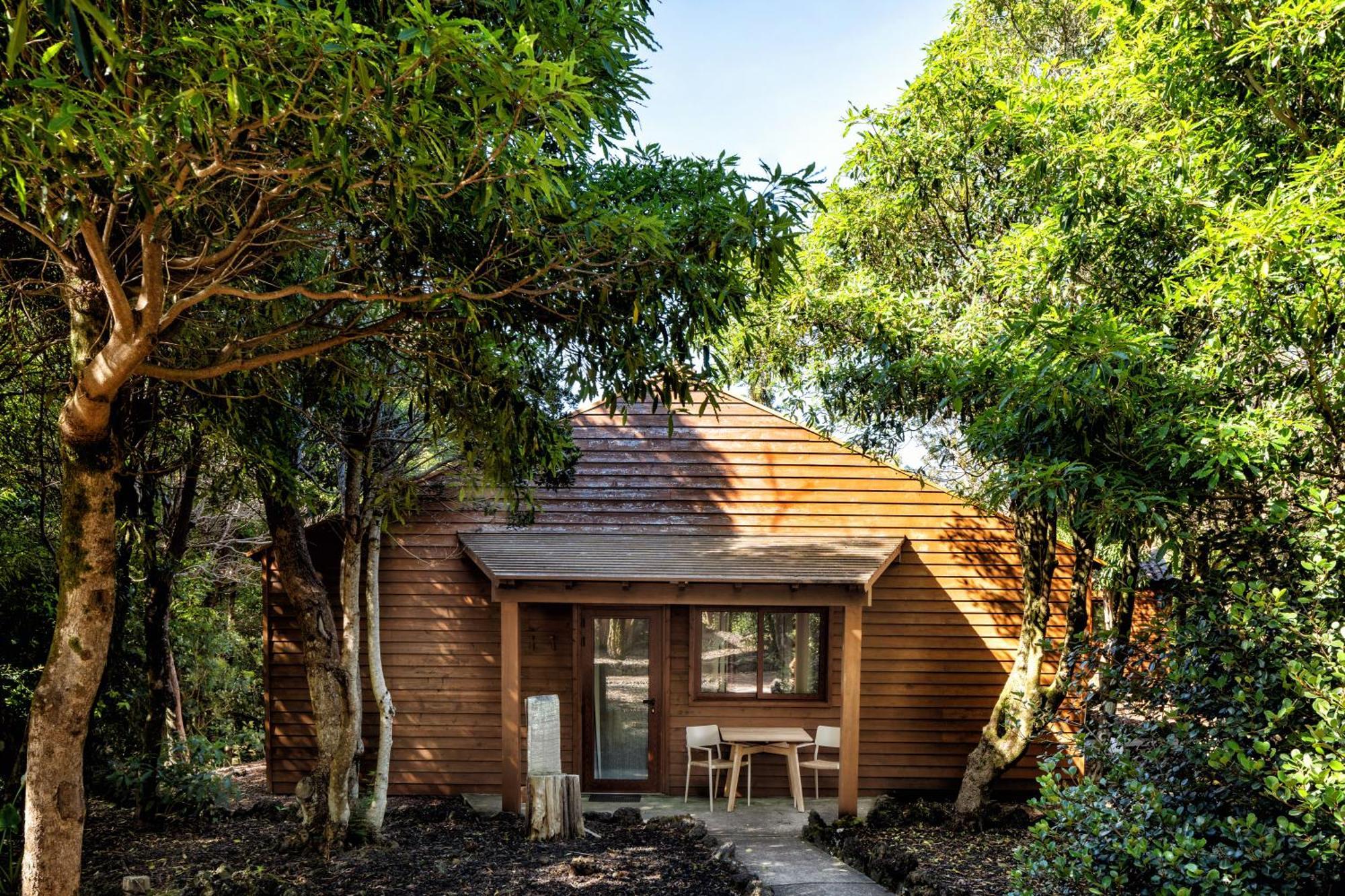 Alma Do Pico - Nature Residence Madalena Kültér fotó