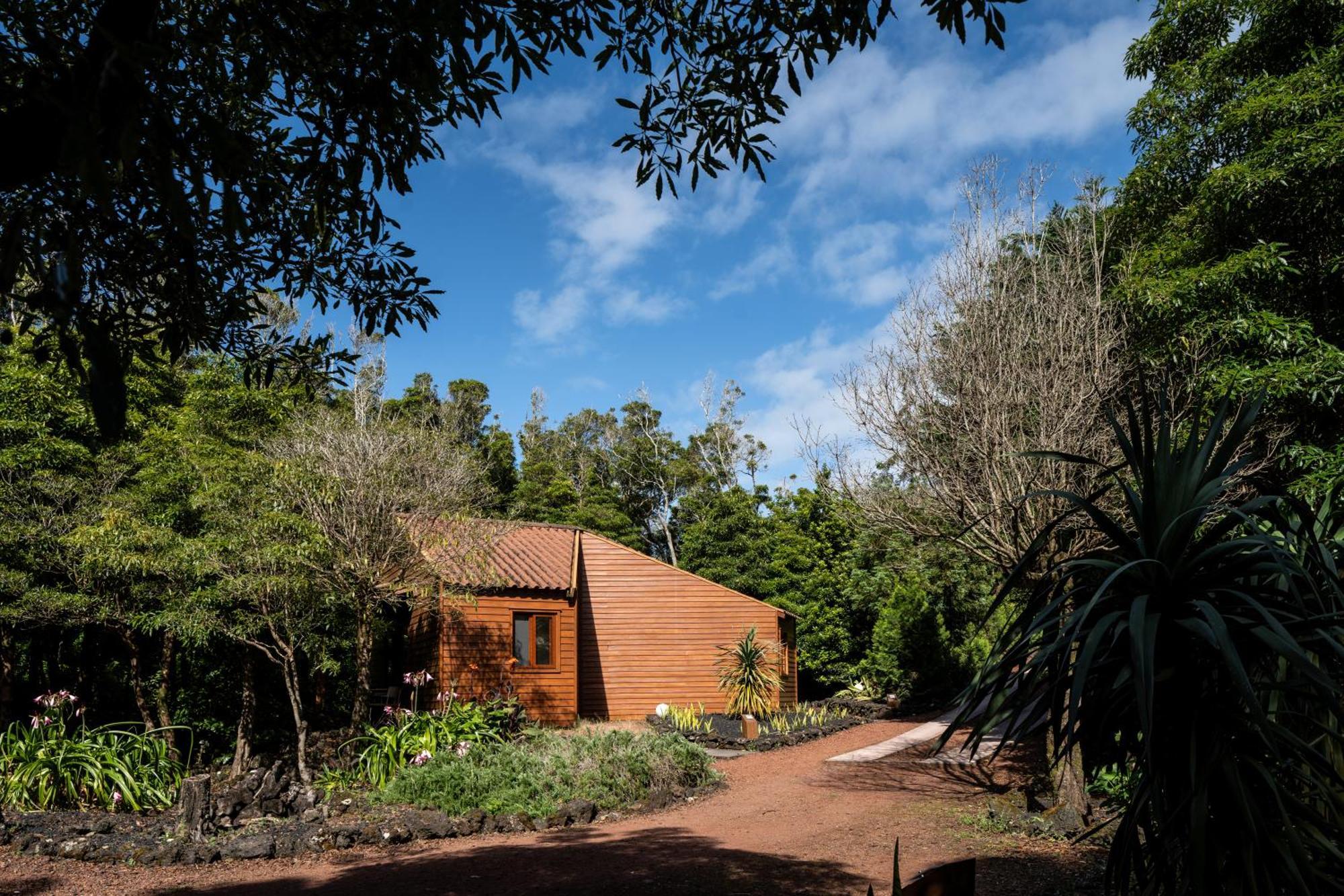 Alma Do Pico - Nature Residence Madalena Kültér fotó