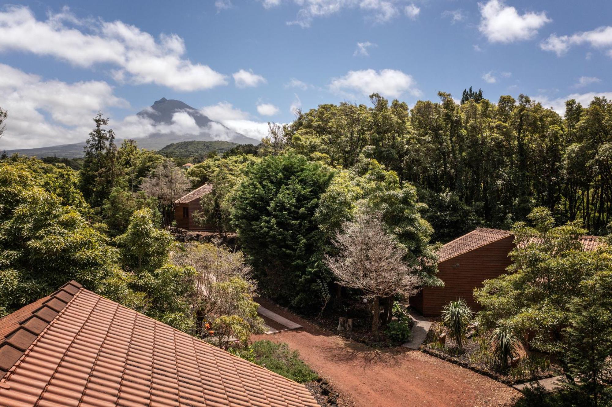 Alma Do Pico - Nature Residence Madalena Kültér fotó