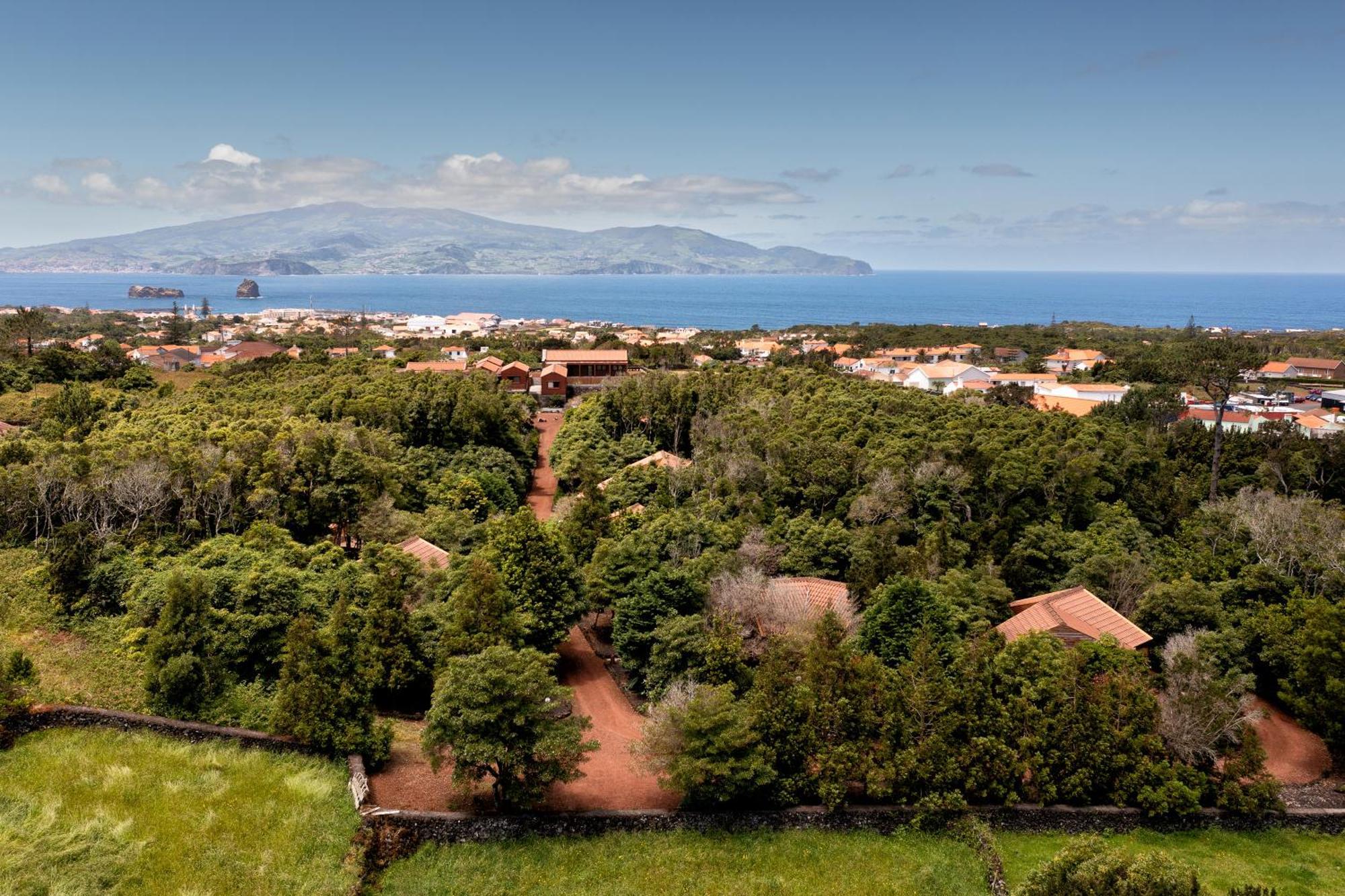 Alma Do Pico - Nature Residence Madalena Kültér fotó