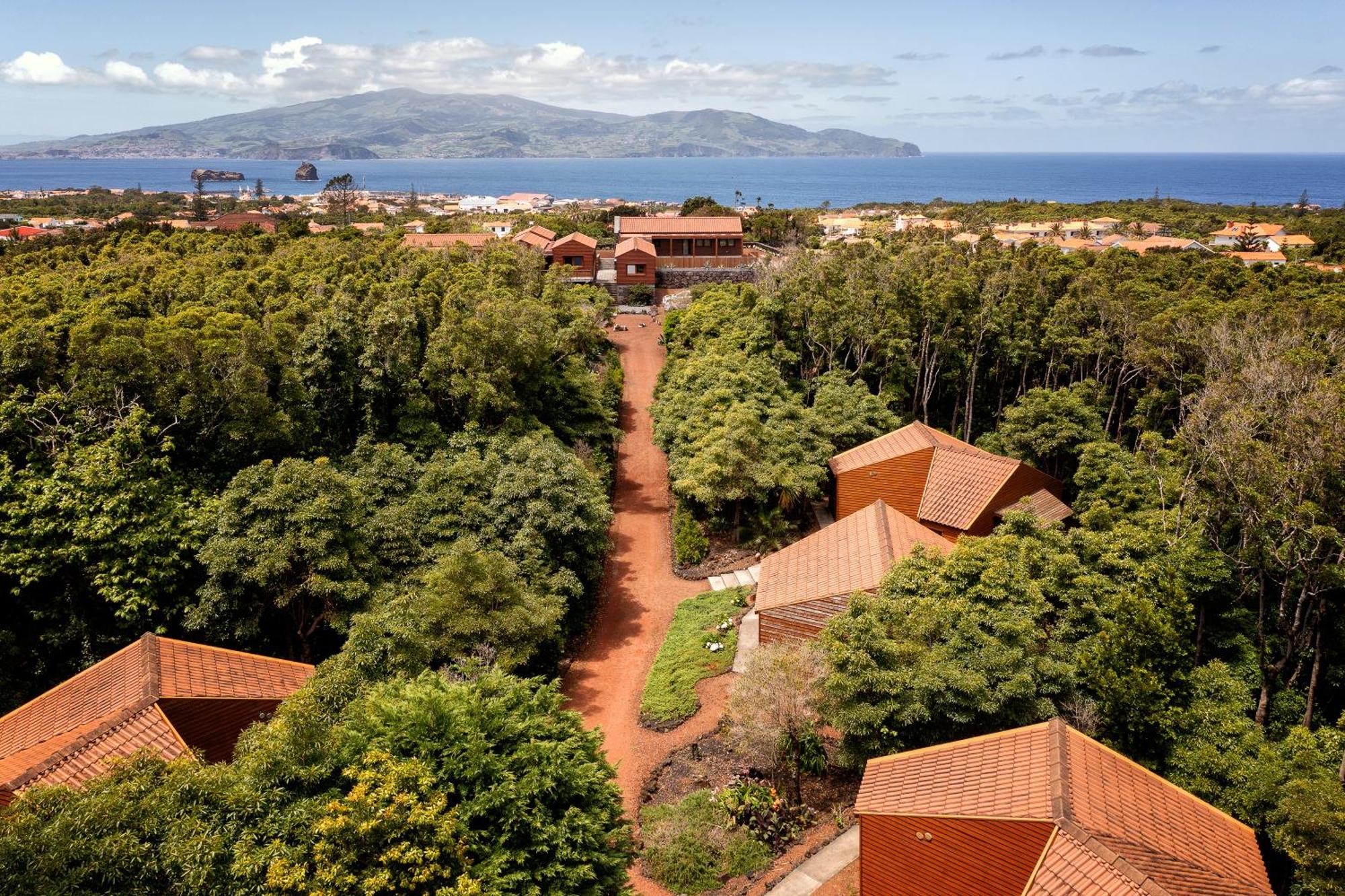 Alma Do Pico - Nature Residence Madalena Kültér fotó
